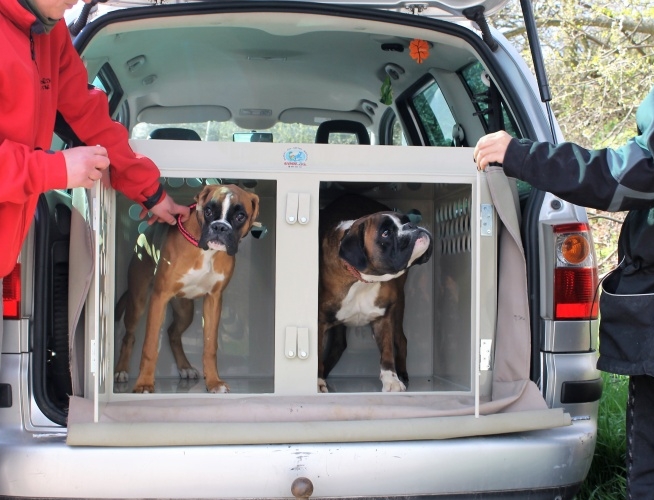 Plastové přepravní boxy pro psy