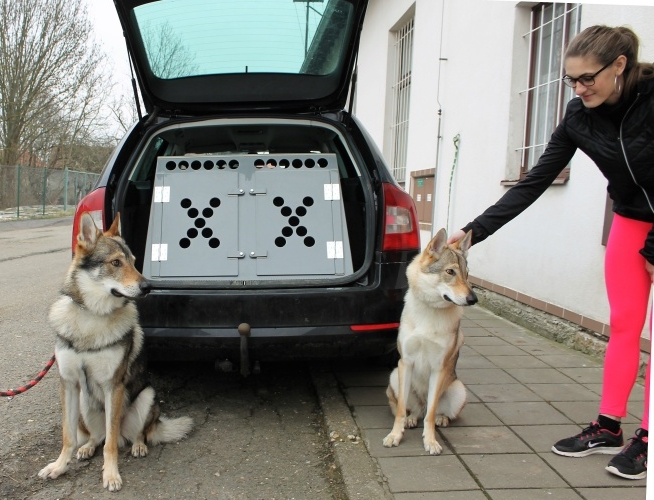 Plastové klece a přepravní boxy pro psy