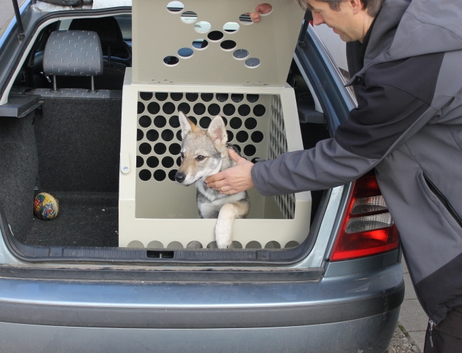 Plastové klece a přepravní boxy pro psy